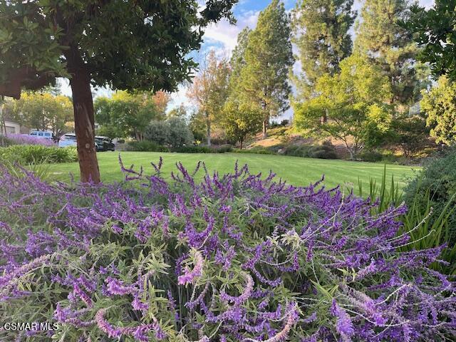 Northwood Townhomes I-516 - 1005282 - Residential