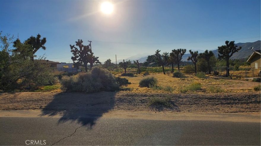Vacant lot more than half an acre in size. Conveniently located within walking distance from shopping, restaurants and public transit. Not on a through traffic street. The neighborhood is mostly multi-family homes. Buyer to confirm land use with the Town of Yucca Valley planning department. Easy to view this parcel go at your own discretion no appointment required. Water line and sewer runs down Palo Alto. Power poles run behind the parcel. Just about a half an hour drive to the Joshua Tree National Park. Also, about a half an hour drive or so to Palm Springs.