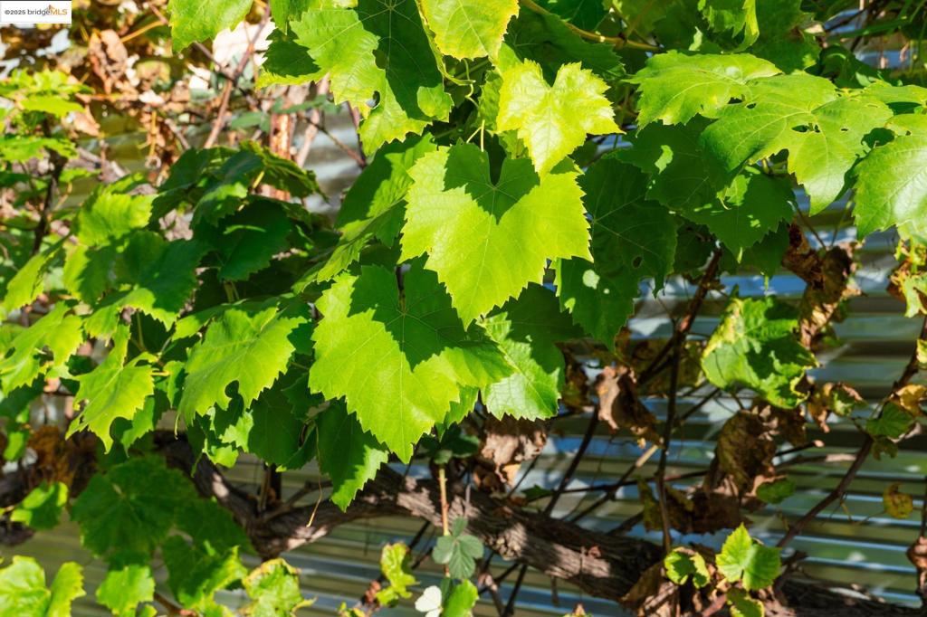 WEST OAK - Residential