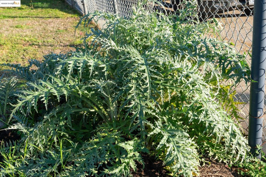 WEST OAK - Residential