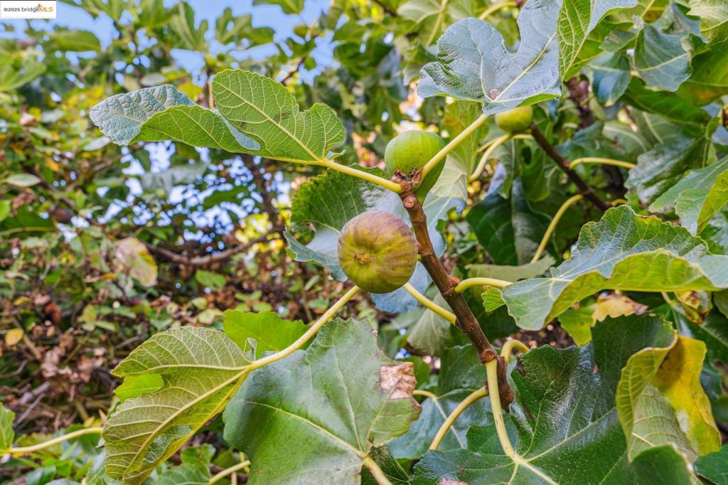 WEST OAK - Residential