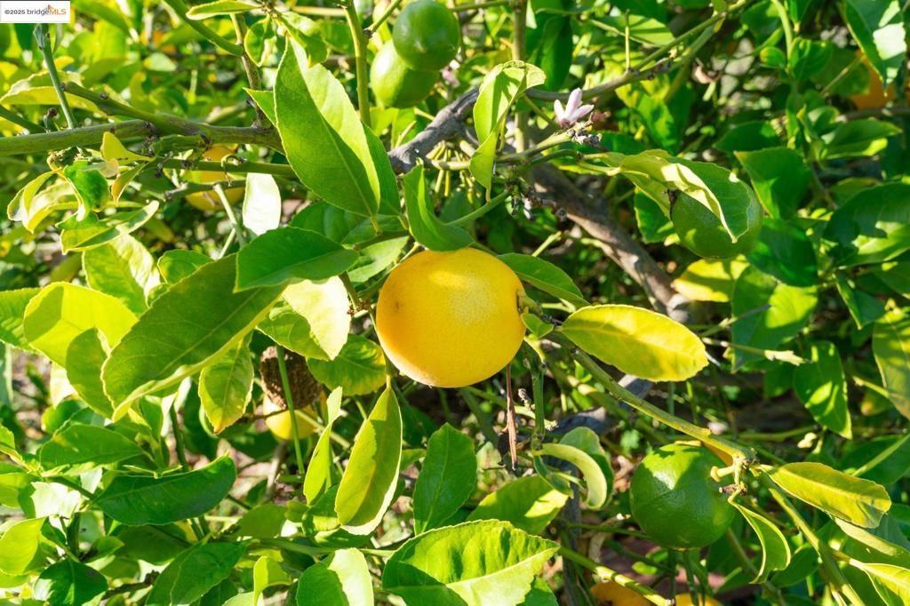 WEST OAK - Residential