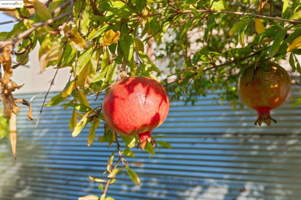 WEST OAK - Residential