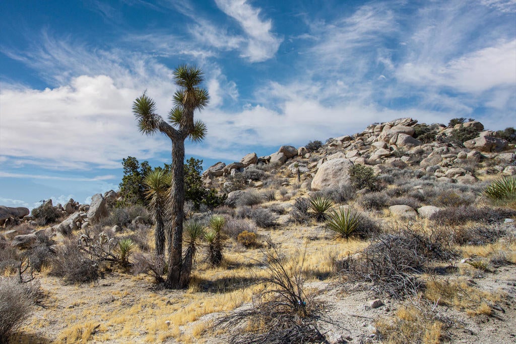 205 Bandera Road