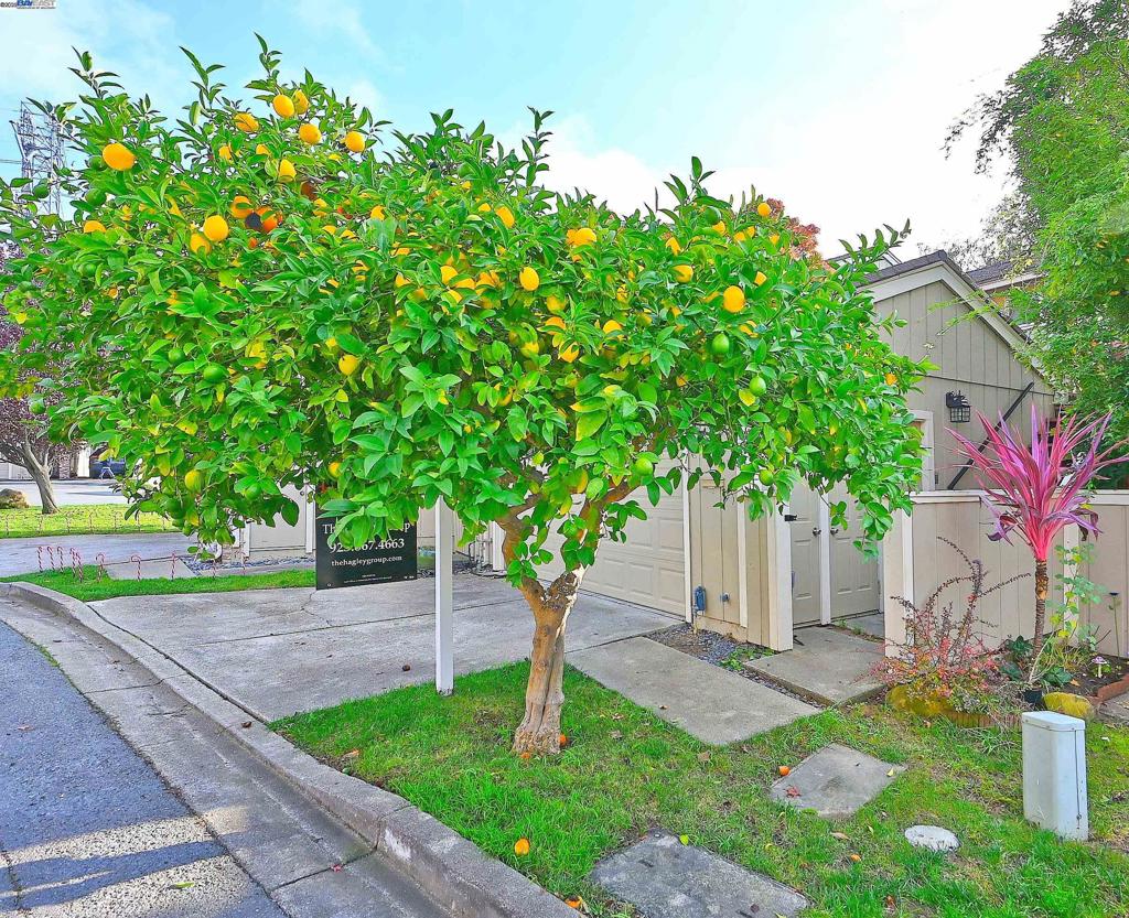 HEATHER HILLS - Residential