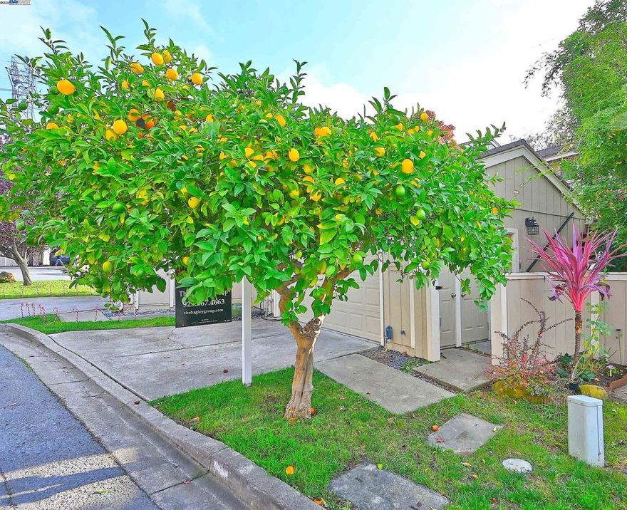 A hidden gem in the Bay Area's hidden gem - Martinez! This home is an incredible opportunity at an unbeatable price—packed with charm, light, and livability. Floor-to-ceiling windows drench the space in natural sunlight while framing stunning views. Inside, the open-concept layout offers plenty of room to relax, entertain, or unwind by the cozy fireplace on quiet evenings.  New paint! New carpeting! Just waiting for a new owner!  And let’s talk about Spa — a covered, private retreat located adjacent to one of the three spacious bedrooms. When you’re not basking in the sunshine pouring in fom the abundant windows, you’ll love cooking in the bright kitchen with like-new appliances and colorful views right outside your window.  Step outside to take in peaceful vistas of horses and rolling hills, pick fresh lemons from your own tree, and enjoy a beautifully maintained neighborhood with low HOA dues and a top-rated school district.  Don’t miss your chance to make this bright, cheerful home your happy place!