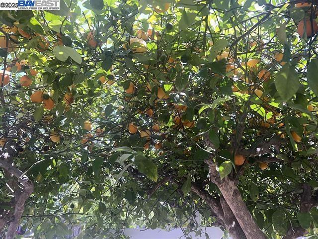 HEATHER HILLS - Residential