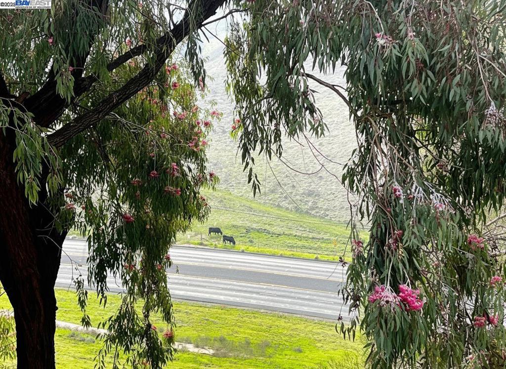 HEATHER HILLS - Residential