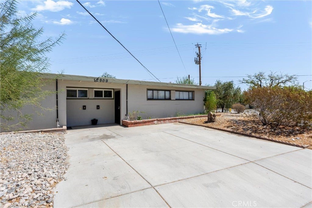 12909 Cactus