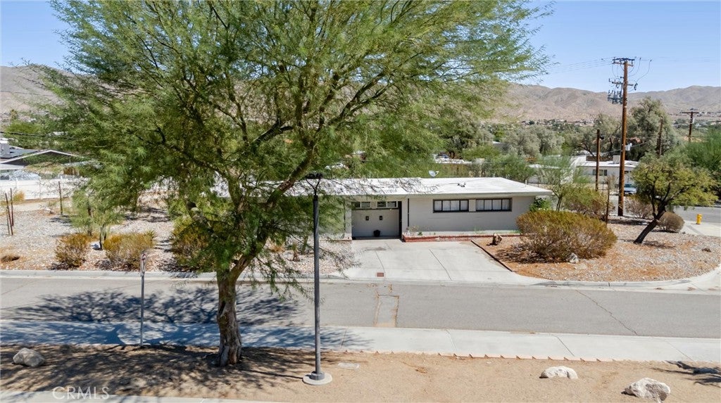 12909 Cactus