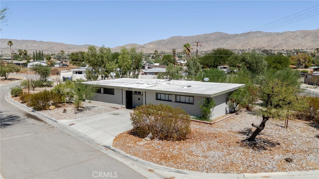12909 Cactus