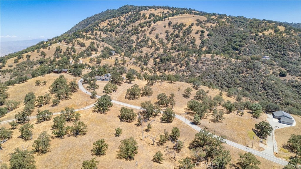 26201 Hazelwood Court