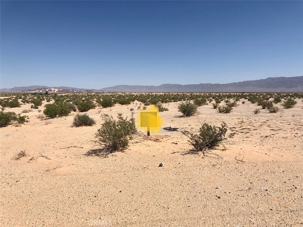 Honey Stop The Car! Welcome to Wonder Valley just outside of 29 Palms and you will be wondering why you did not buy this parcel earlier! We have a 2.5 acre parcel just south of Two Mile Road and North of 29 Palms Highway. This parcel offers breathtaking desert views with clear blue skies and at night you can sit and star gaze at the Milky Way. Area is sparsely populated giving you the privacy that you are looking for. We have a power pole at the SW corner of the parcel. Water would be a well and septic for a sewer system. If you are looking for a little slice of paradise with 2.5 acres of land then you have found it. Easy vehicle access from 29 Palms Highway and go north on Steeg Road. Go right past 6121 Steeg and use the access road to your new parcel. Seller will also consider financing with 5K down and low monthly payments all due in 1-2 years depending on the terms. Come take a look at this parcel and I hope to see you in Escrow!! BACK ON THE MARKET AS BUYER DID NOT PERFORM