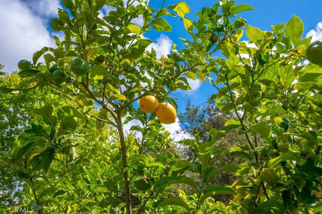 PROPERTIES 639 Barberry Way