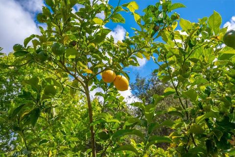 Tiny photo for 639 Barberry Way, Nipomo, CA 93444 (MLS # PI26068074)