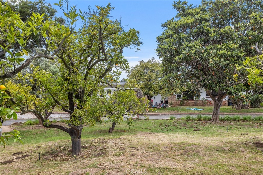 Fallbrook - Residential Lease