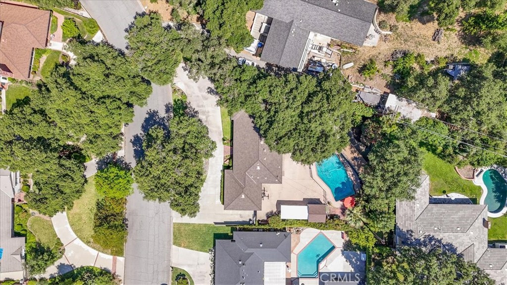 336 Oak Tree
