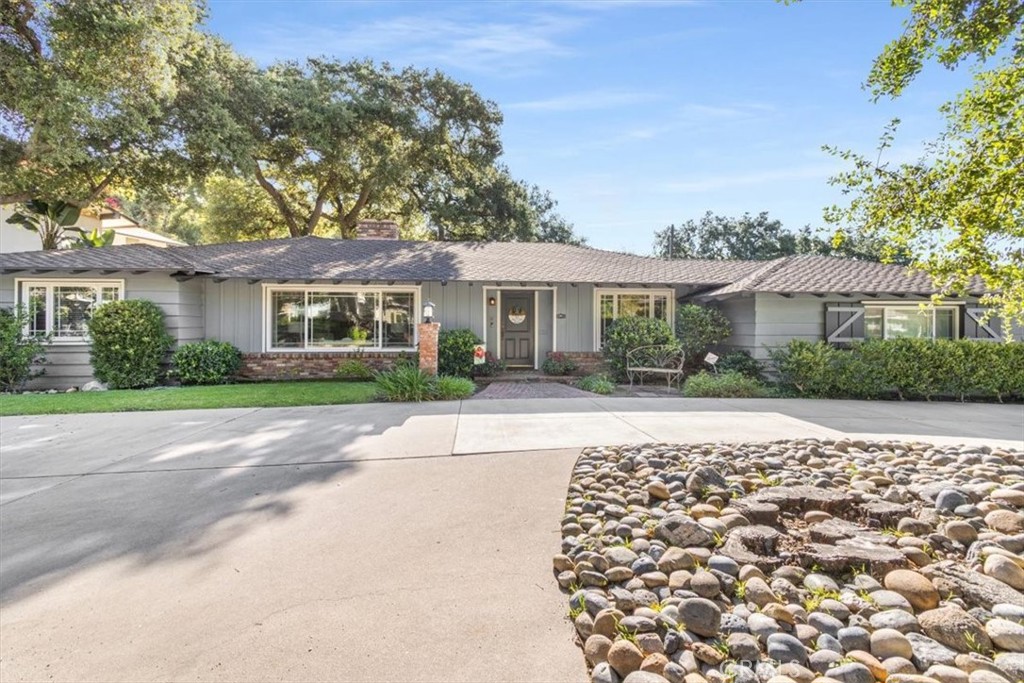 336 Oak Tree