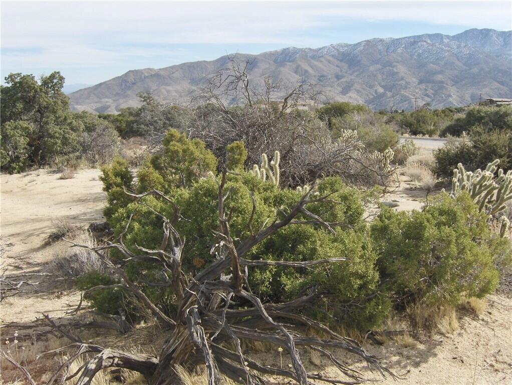 Pinyon Crest - Land