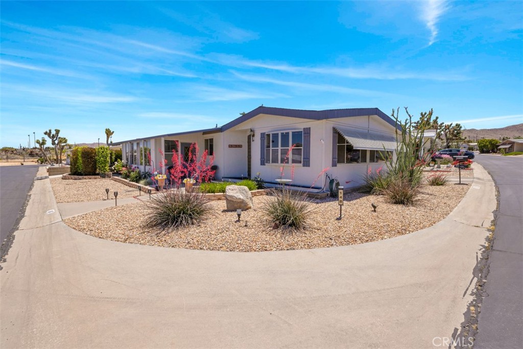 7501 Palm 148