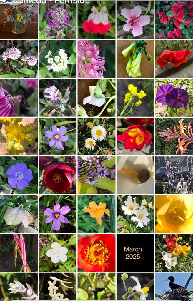 Alameda, California 94501, United States, 3 Bedrooms Bedrooms, ,2 BathroomsBathrooms,Residential,Active,253961