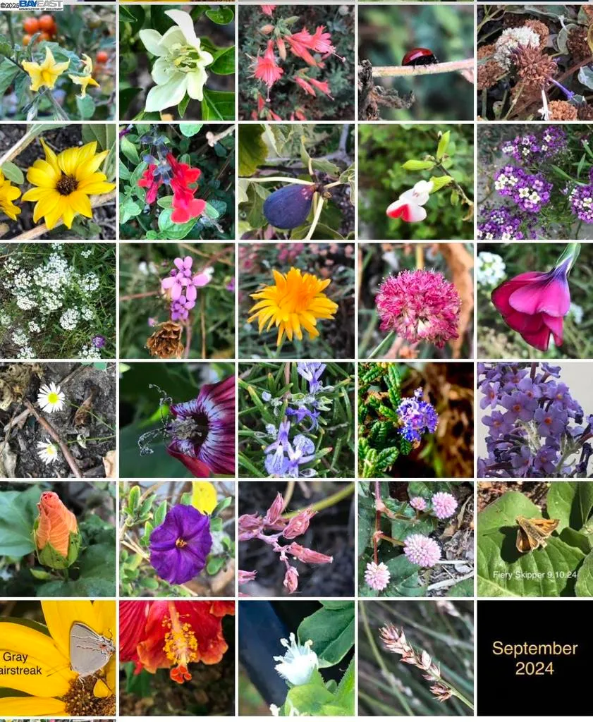 Alameda, California 94501, United States, 3 Bedrooms Bedrooms, ,2 BathroomsBathrooms,Residential,Active,253961