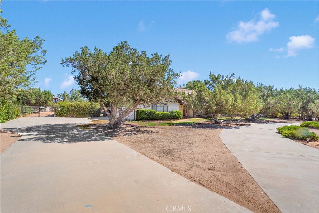 Pride of ownership shines throughout this exceptional one-owner home, situated on a spacious 47,916-square-foot lot in a quiet and established neighborhood. If you look at the pictures, you will start checking off all the boxes for your dream home! Offering three bedrooms, two full bathrooms, and an additional bathroom in the main garage, this residence combines thoughtful design with practical amenities and room to grow. The kitchen boasts ample cabinetry, stainless-steel appliances, including a double oven—a functional design that facilitates seamless flow and entertaining with ease. Step into a warm and welcoming interior featuring a skylight, wood-burning stove, and an open-concept layout that seamlessly connects the family room, living room, formal dining area, and a nook. You'll also find beautiful flooring, ceiling fans throughout, a dedicated indoor laundry room, and an abundance of cabinets throughout for added convenience. The exterior is equally impressive, featuring an oversized RV garage and a second garage with heating, plumbing, and electrical already in place, offering incredible potential to convert into a guest suite, in-law quarters, or additional living space. The fully fenced property offers privacy, is zoned for farm animals, and provides ample room for customization or expansion. This is a rare opportunity to own a well-built home. Schedule your private showing today—homes like this don't come around often.