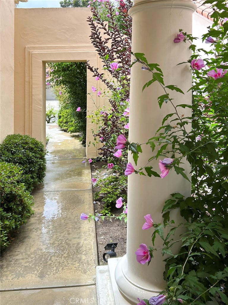 13033 Caminito Pointe Del Mar