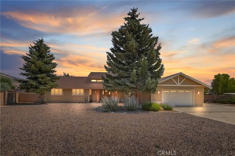 908 Mount Doble Drive Big Bear City CA 92314