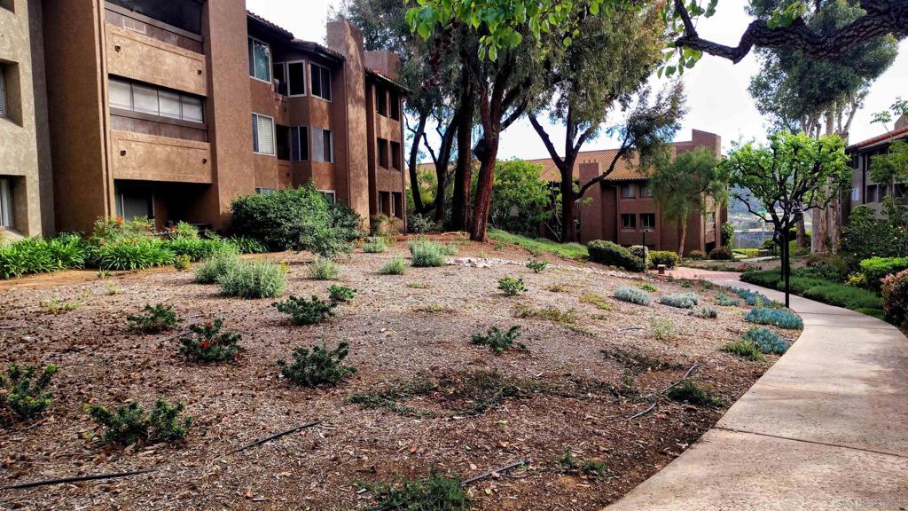 10225 Caminito Cuervo 140