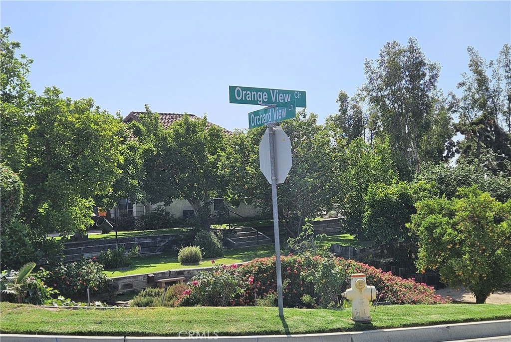 10771 Orchard View Lane