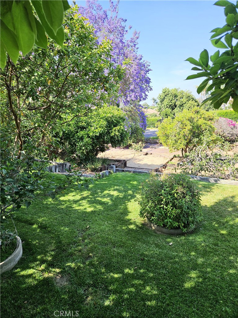 10771 Orchard View Lane