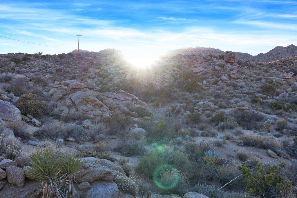 Royal Carrizo - Land