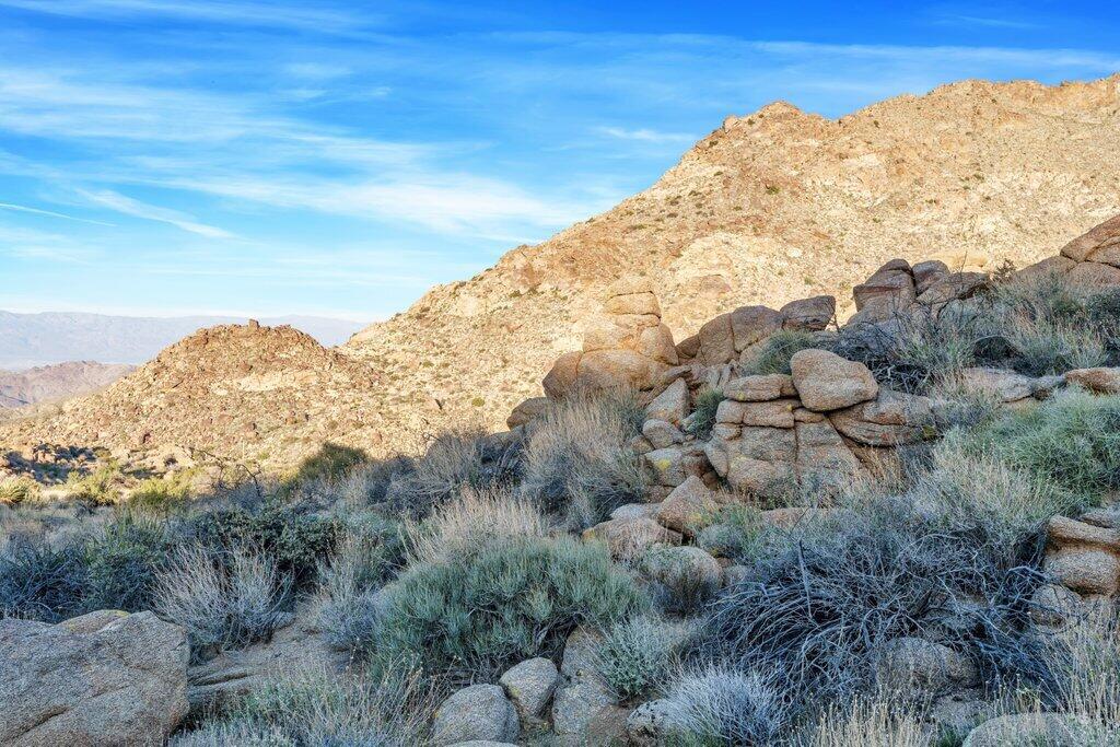 Royal Carrizo - Land