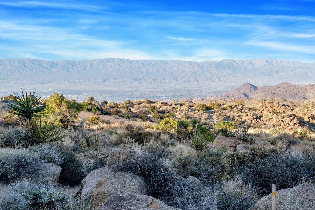 Royal Carrizo - Land