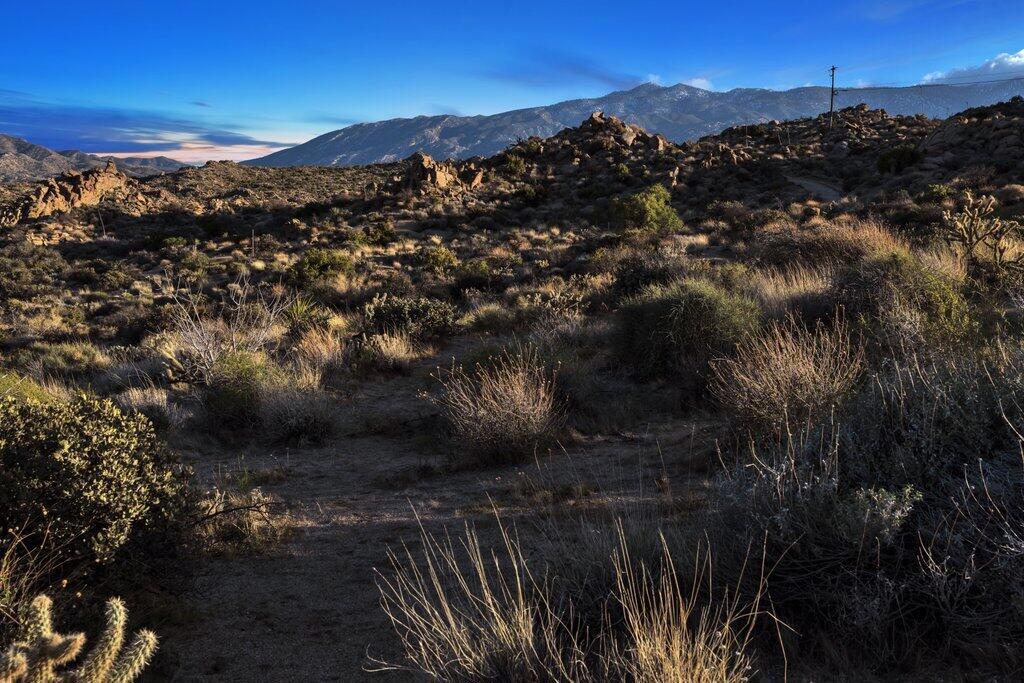 Royal Carrizo - Land