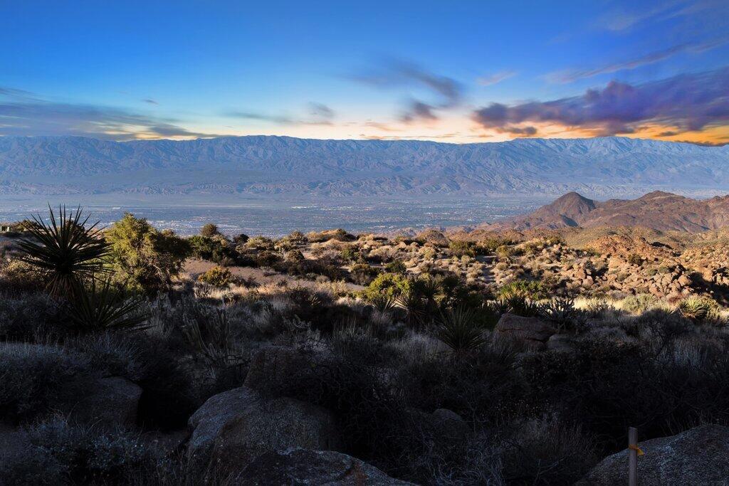 Royal Carrizo - Land