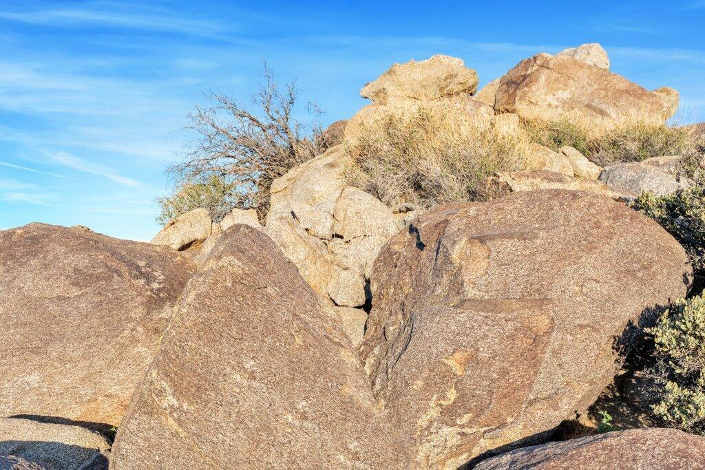 Royal Carrizo - Land