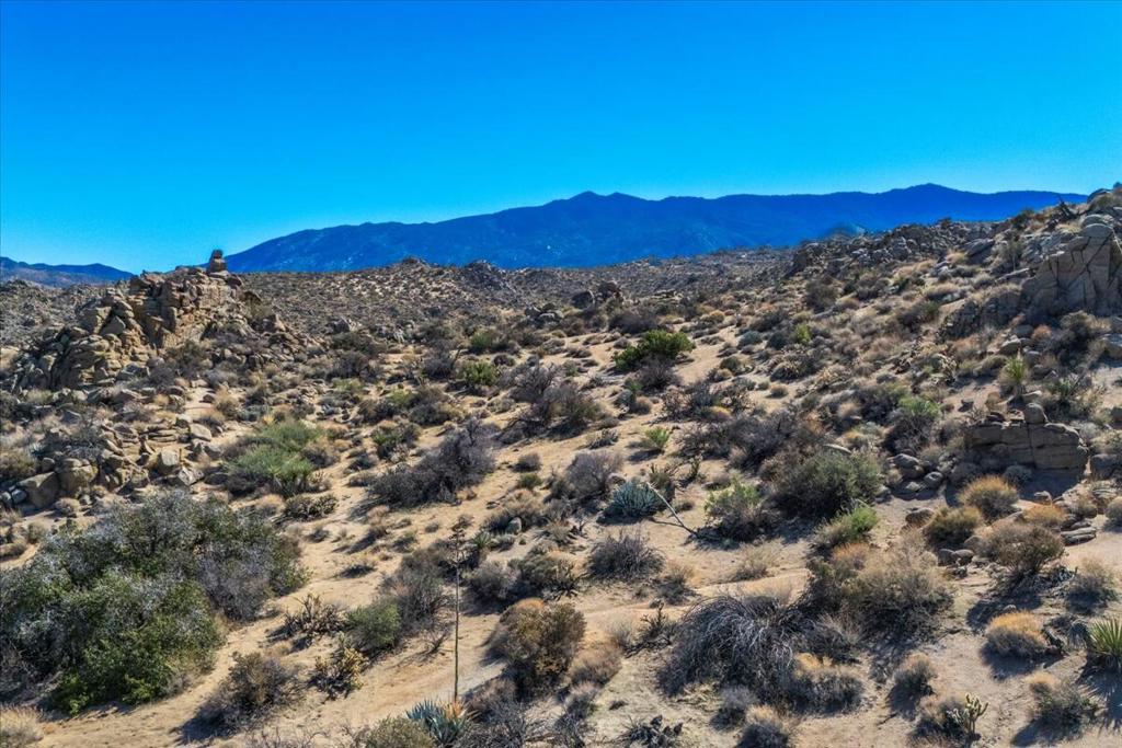 Royal Carrizo - Land