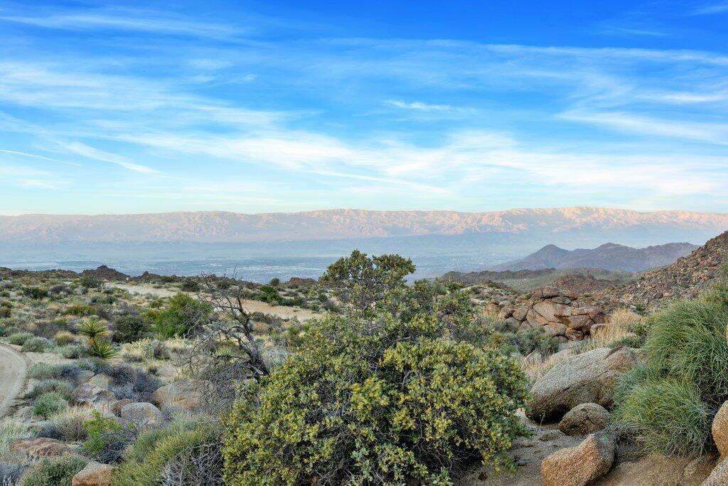 Royal Carrizo - Land