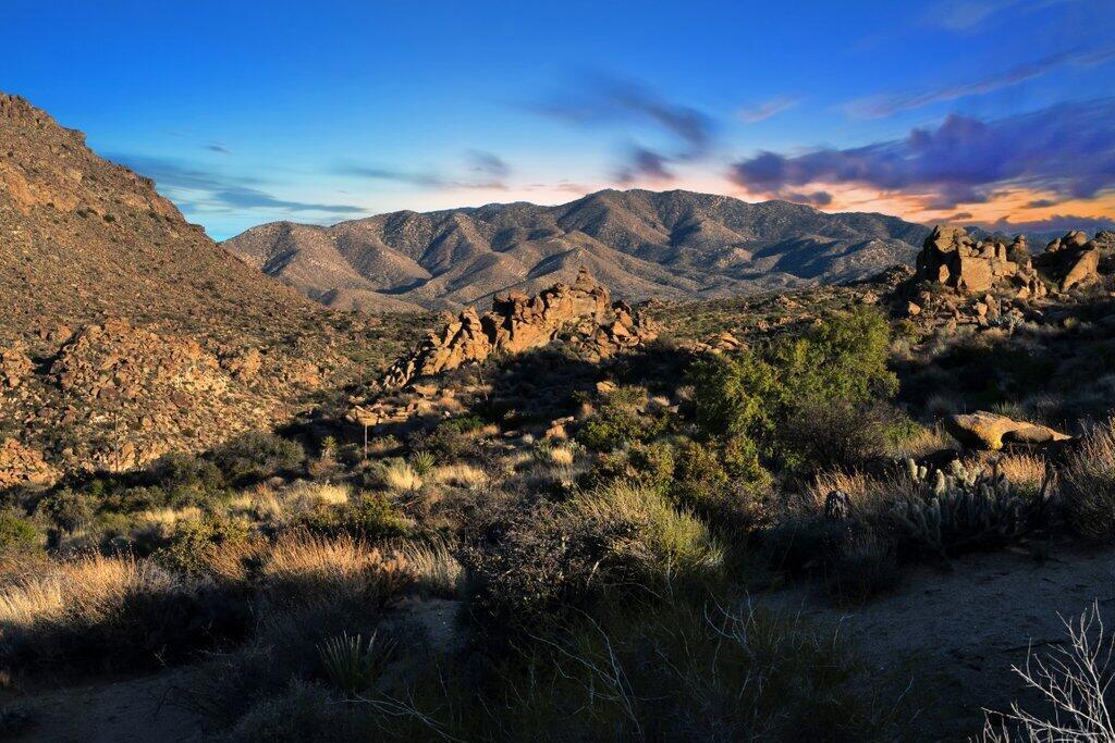 Royal Carrizo - Land