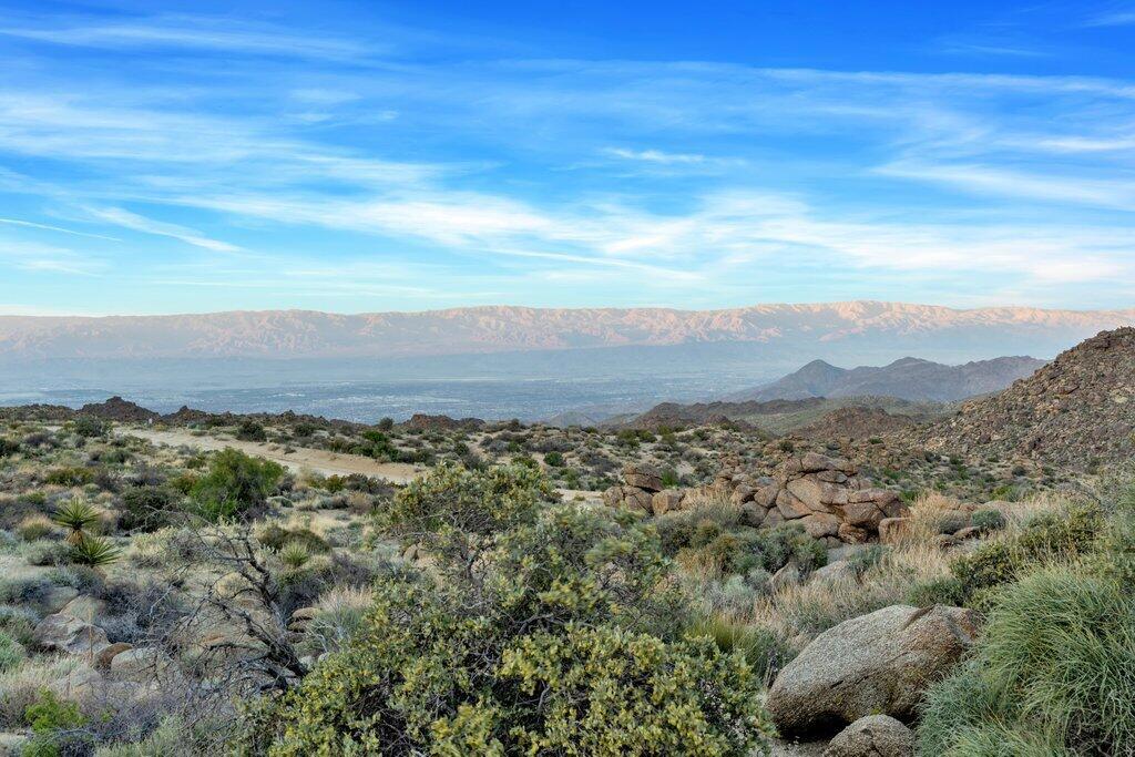 Royal Carrizo - Land