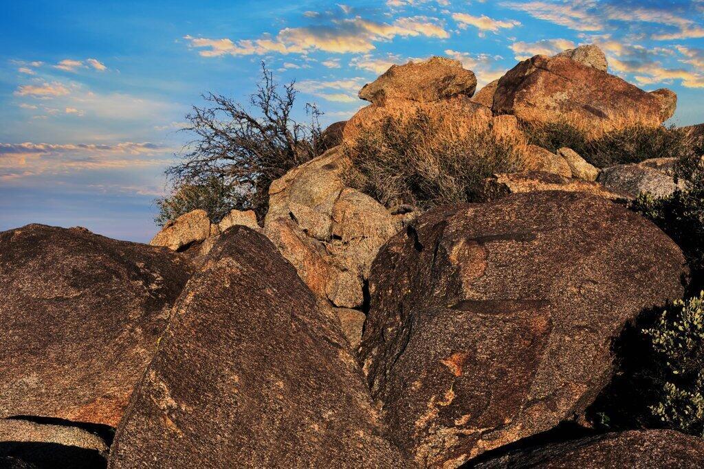 Royal Carrizo - Land