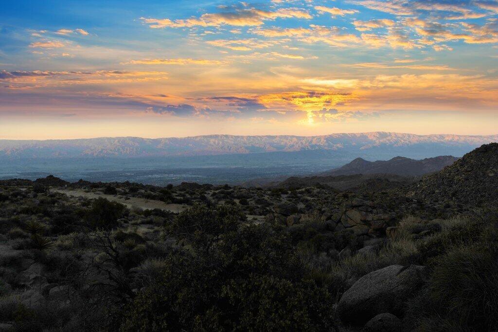 Royal Carrizo - Land