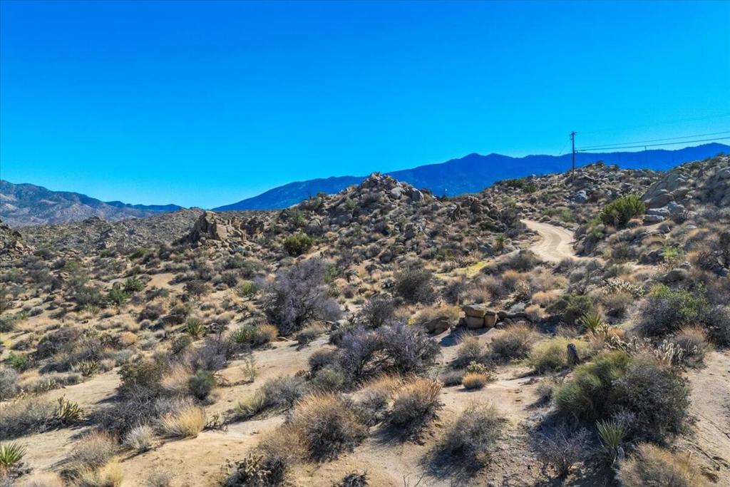 Royal Carrizo - Land