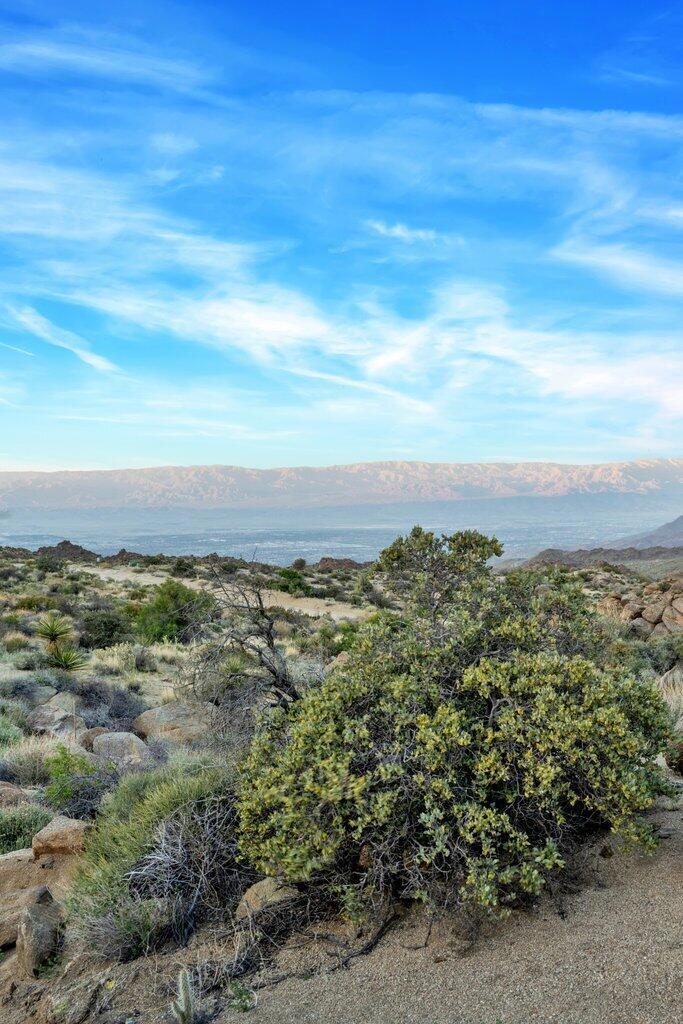 Royal Carrizo - Land