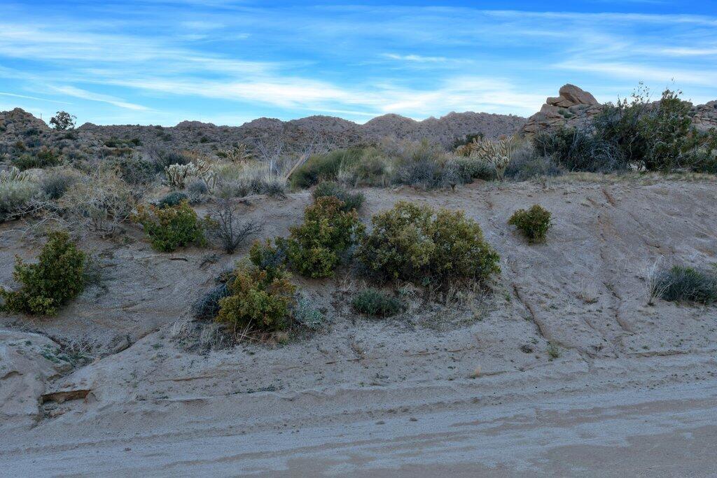 Royal Carrizo - Land