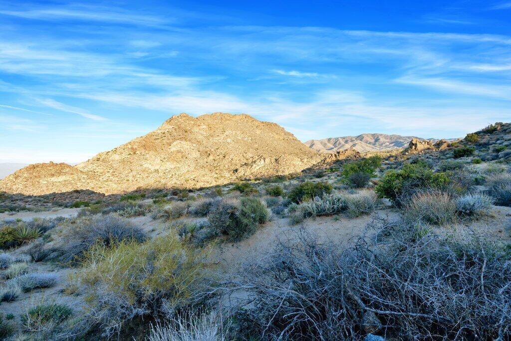 Royal Carrizo - Land