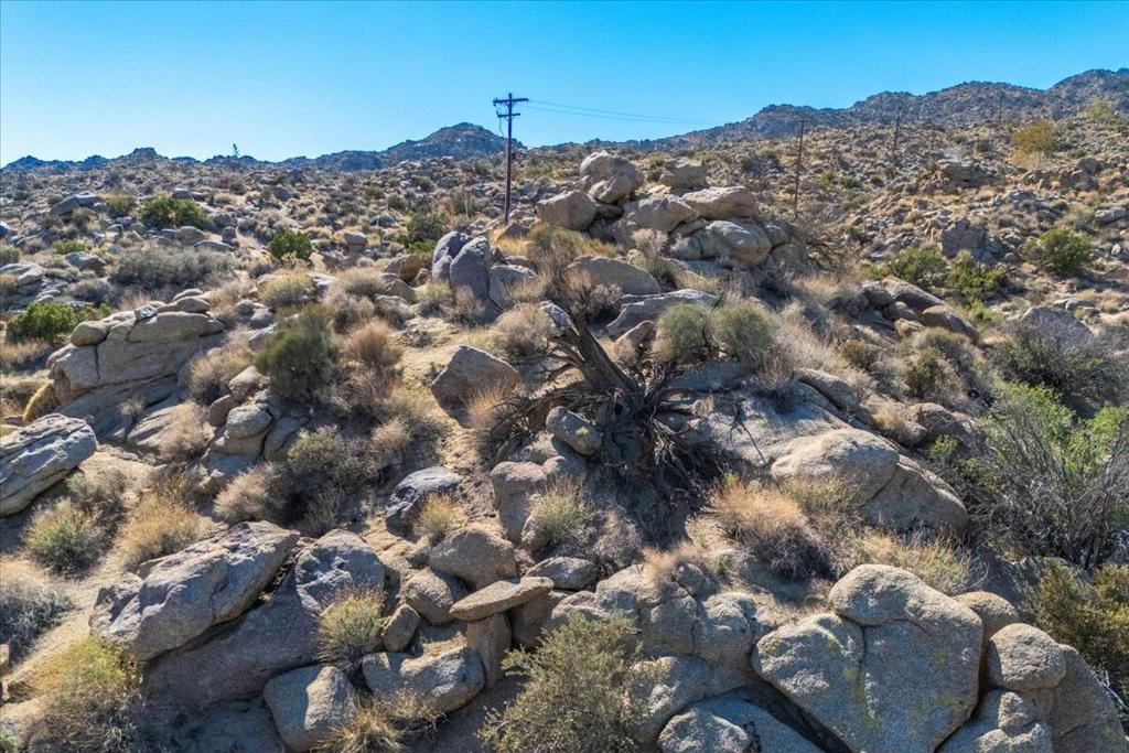 Royal Carrizo - Land