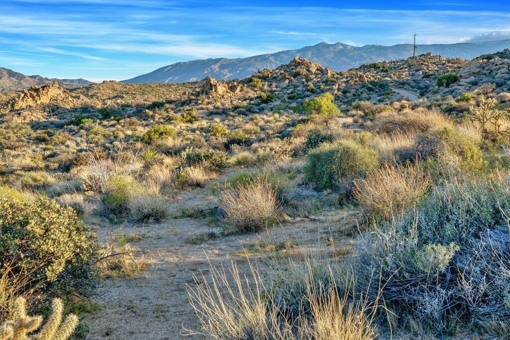 Royal Carrizo - Land